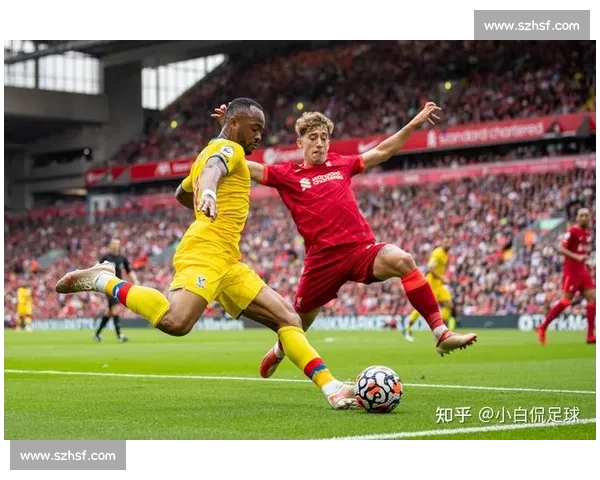 足球比赛免费版全方位赛事解析与精彩看点深度体验指南推荐攻略 - 副本 - 副本 - 副本 (2) - 副本