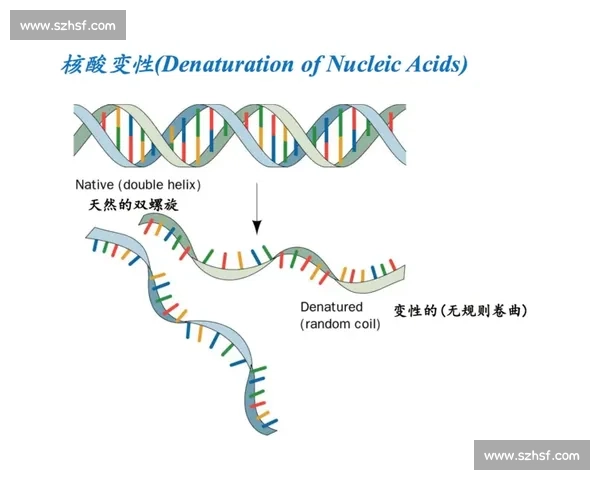 解析体育赛事赛制多样化及其影响与运作机制的全面解读 - 副本 - 副本