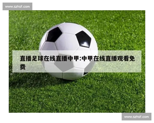 足球赛事直播大全平台推荐高清实时比赛观看指南与热门联赛直播入口解析 - 副本 - 副本 (2)