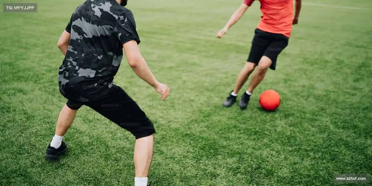 行业领先的理由